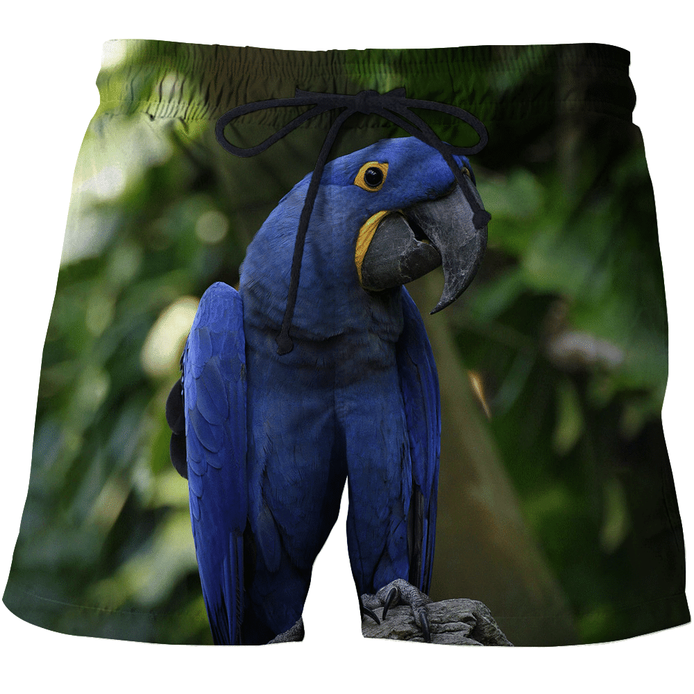 3D All Over Print Blue Macaw Parrot Hoodie