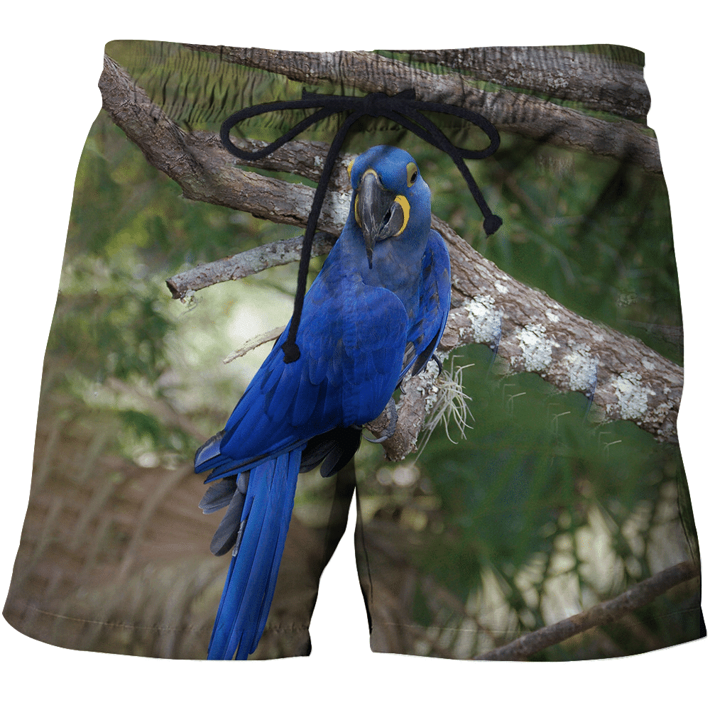 3D All Over Print Beautiful Blue Parrot Hoodie