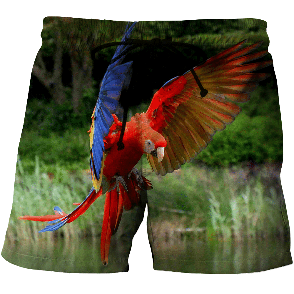 3D All Over Print Parrot Macaw Incoming Hoodie