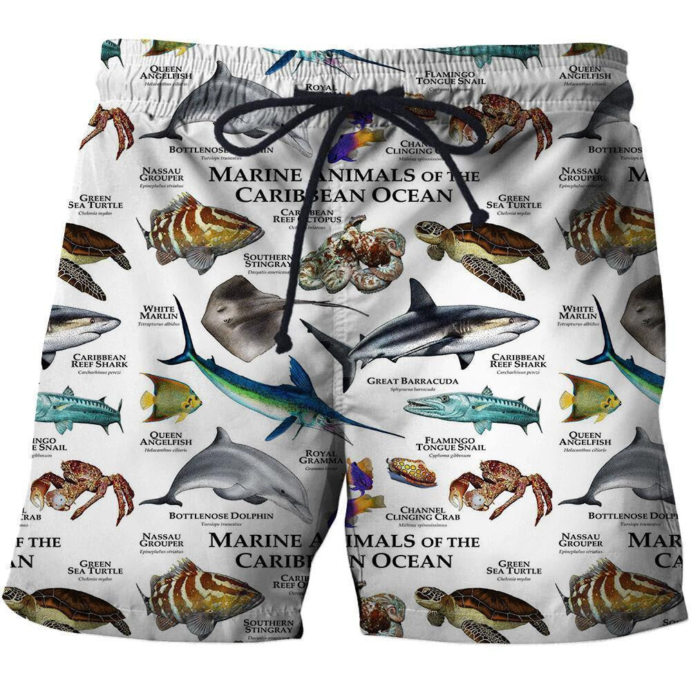 3D All Over Printed Marine Animals Of The Caribbean Ocean Shirts And Shorts