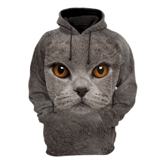 British Shorthair Cat face hair premium hoodie sweatshirt cover - Amaze Style�?�