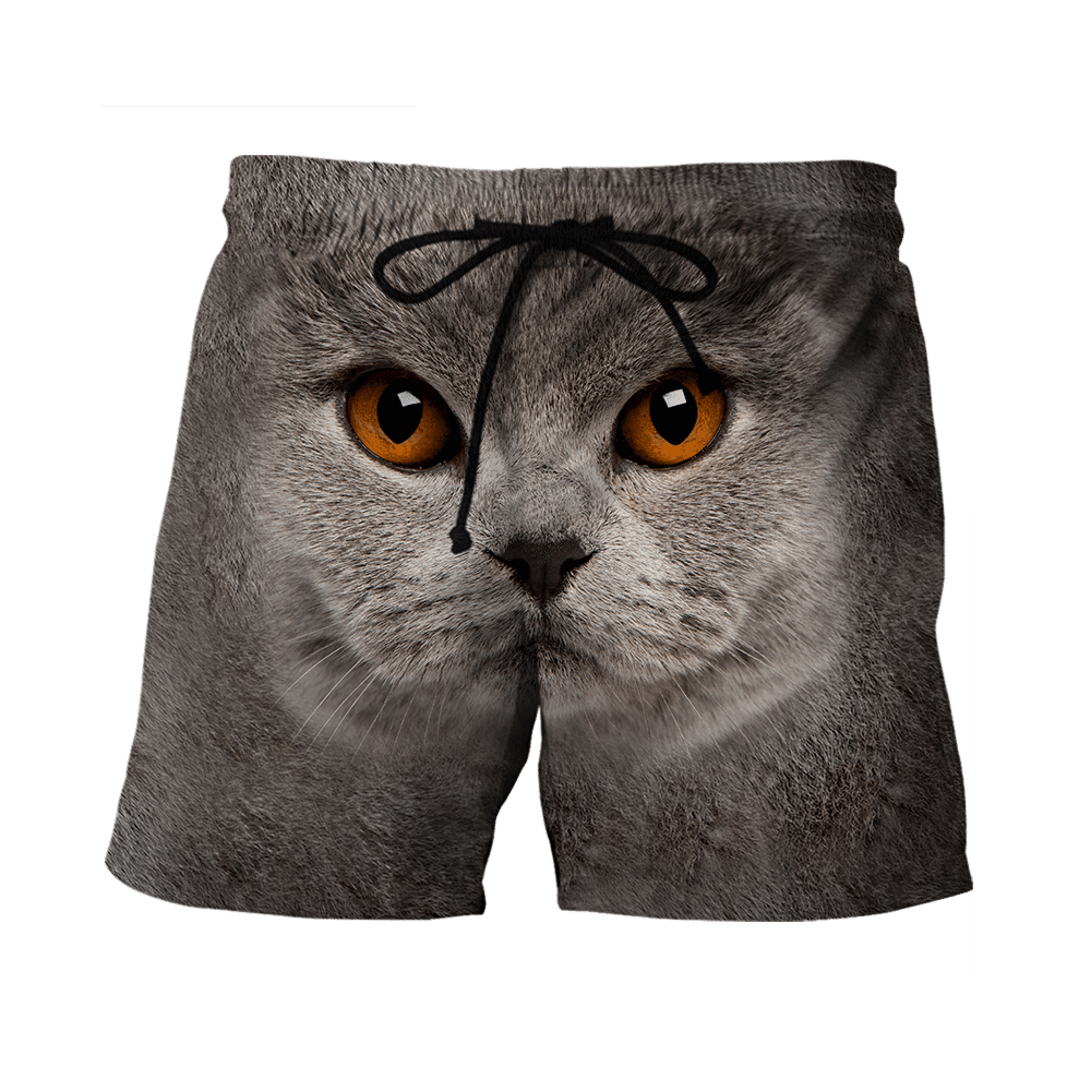 British Shorthair Cat Face Hair Premium Hoodie Sweatshirt Cover