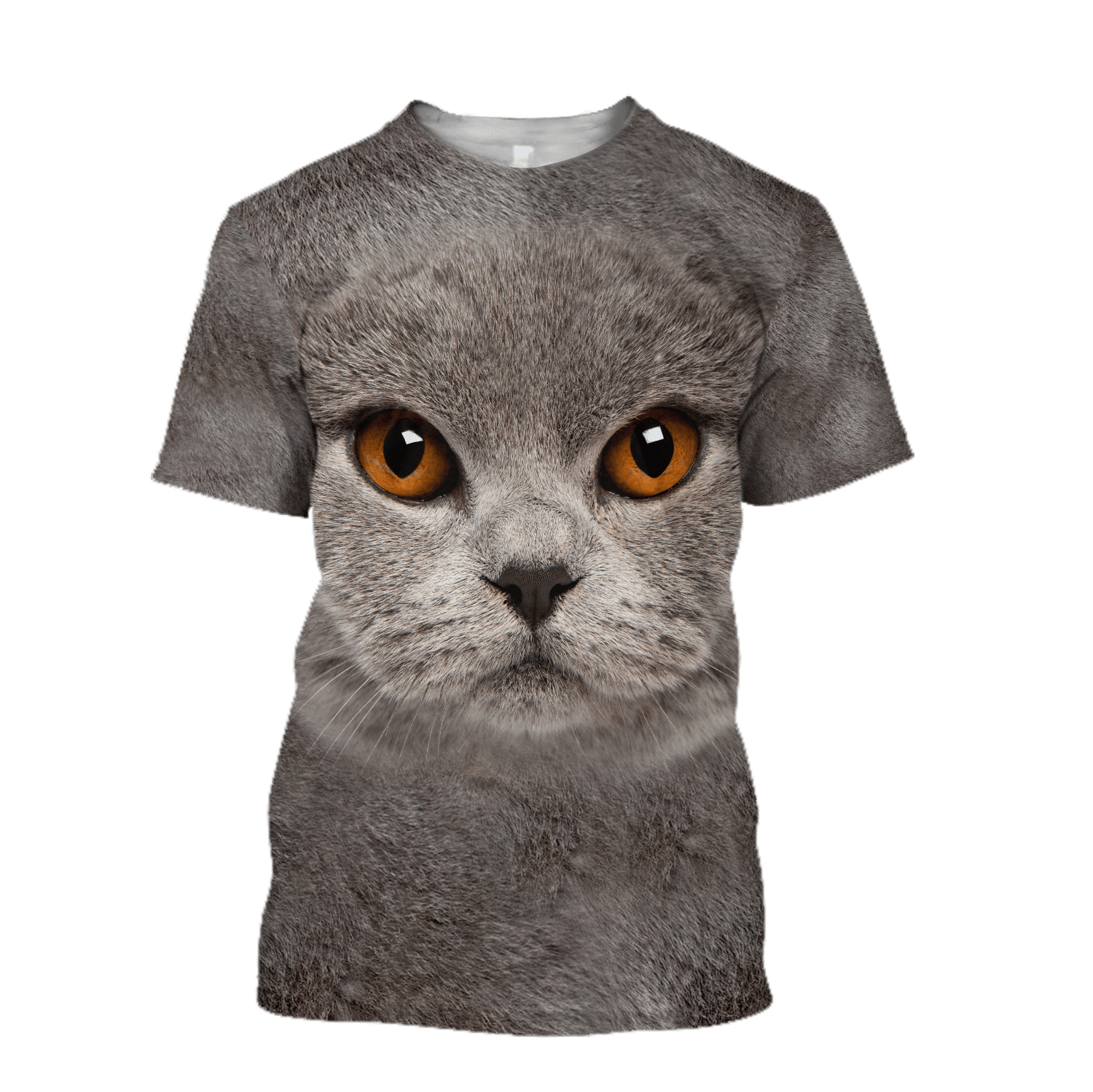 British Shorthair Cat Face Hair Premium Hoodie Sweatshirt Cover