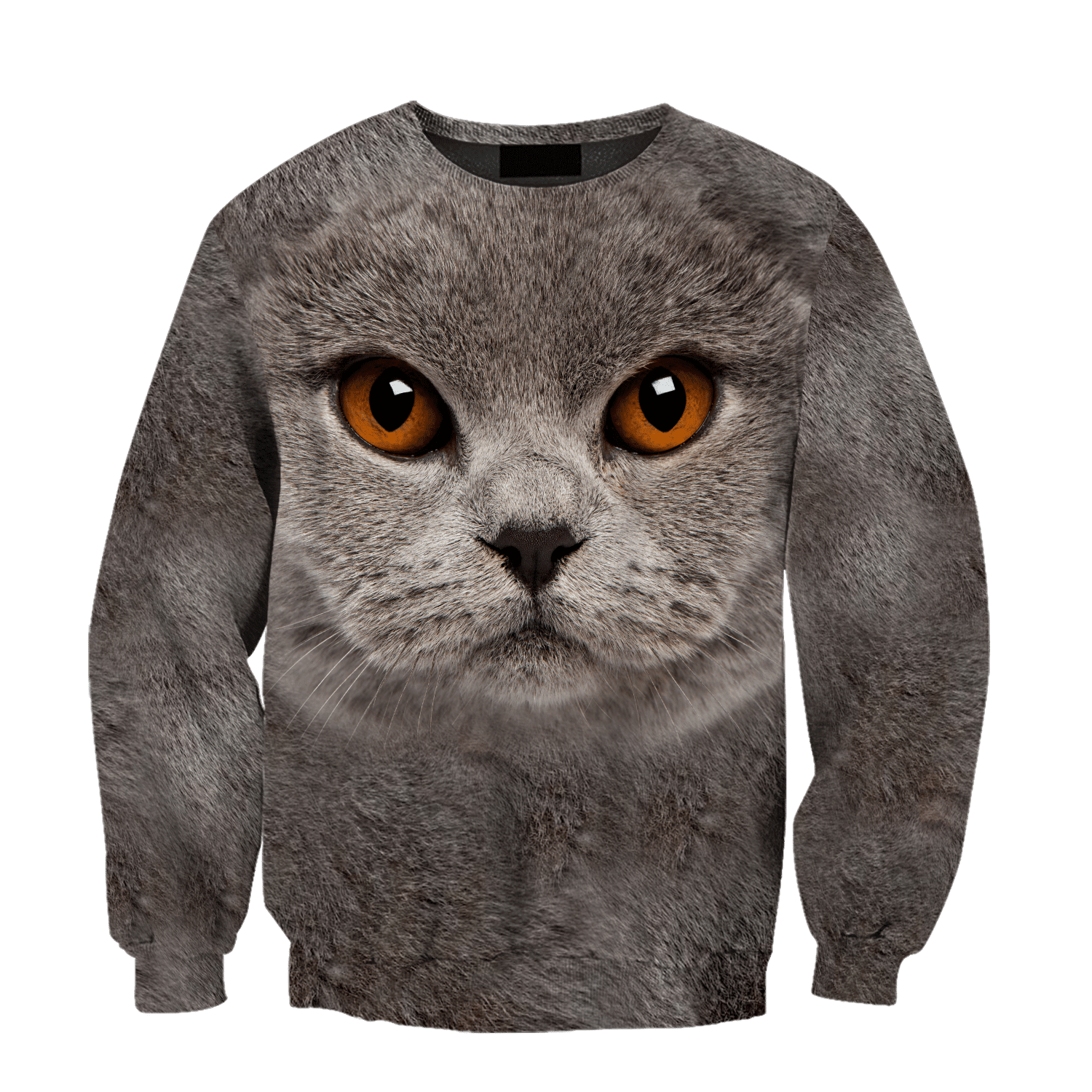 British Shorthair Cat Face Hair Premium Hoodie Sweatshirt Cover