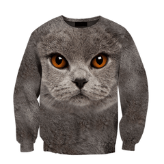 British Shorthair Cat Face Hair Premium Hoodie Sweatshirt Cover