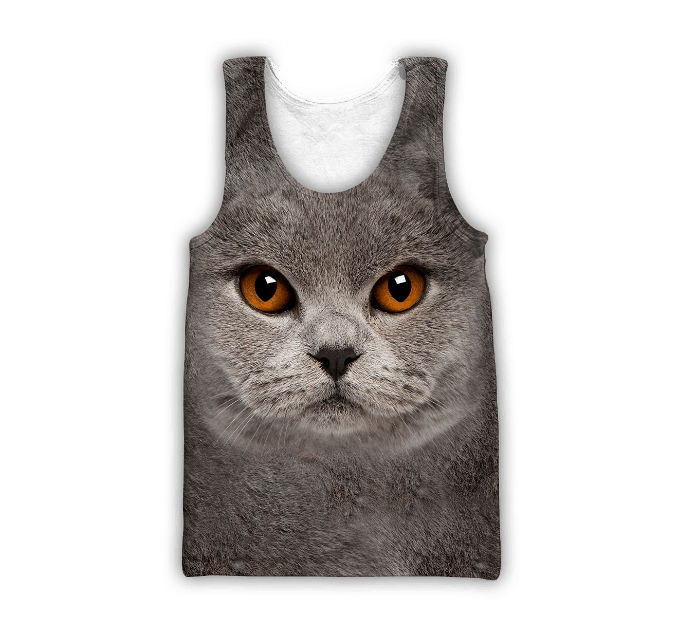 British Shorthair Cat Face Hair Premium Hoodie Sweatshirt Cover