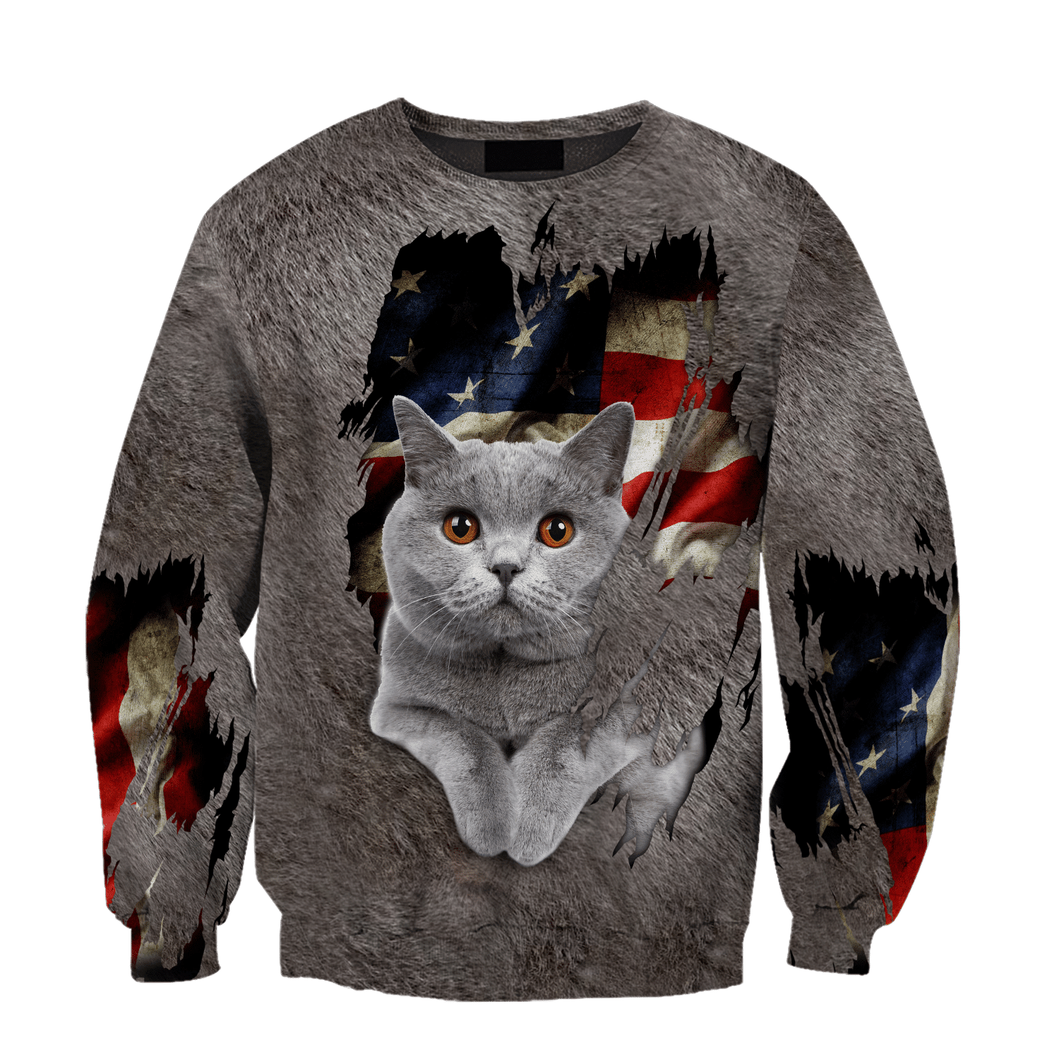 American British Shorthair Cat 3D Printed Shirts For Men And Women Hoodie