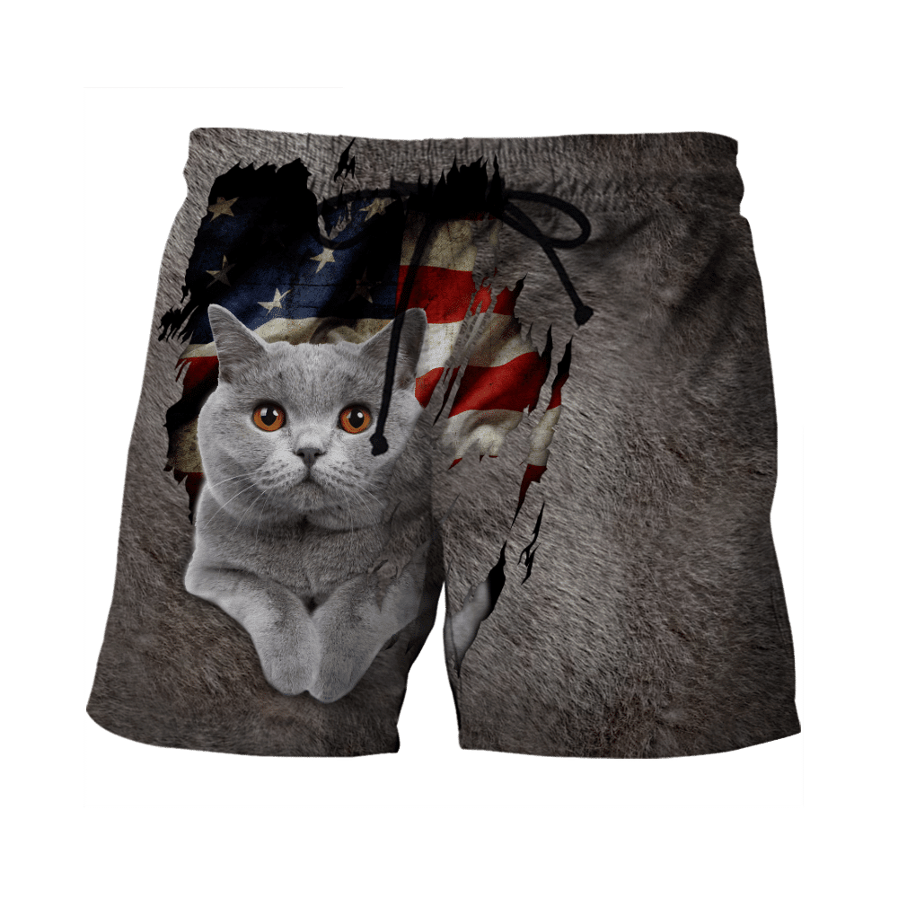 American British Shorthair Cat 3D Printed Shirts For Men And Women Hoodie