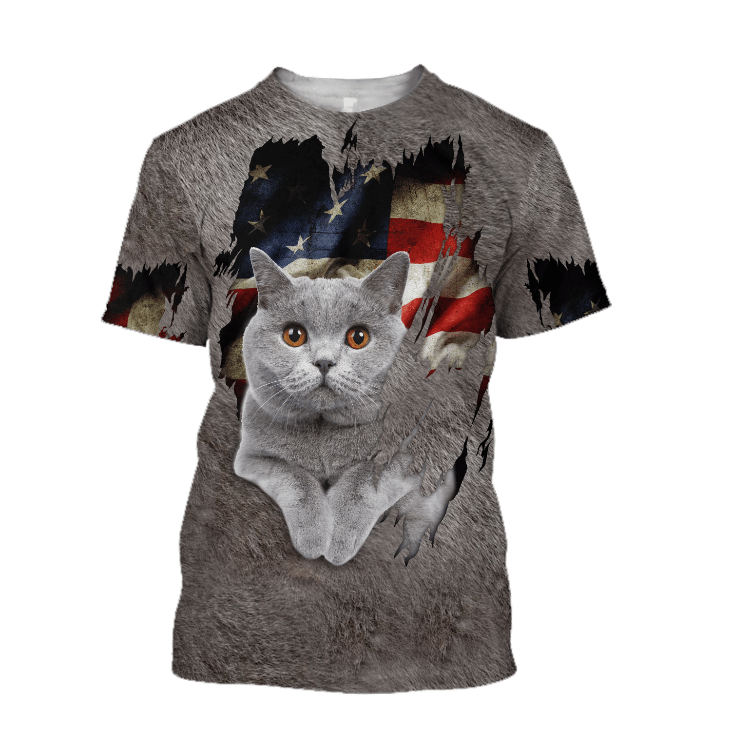 American British Shorthair Cat 3D Printed Shirts For Men And Women Hoodie