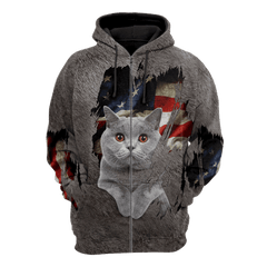 American British Shorthair Cat 3D Printed Shirts For Men And Women Hoodie