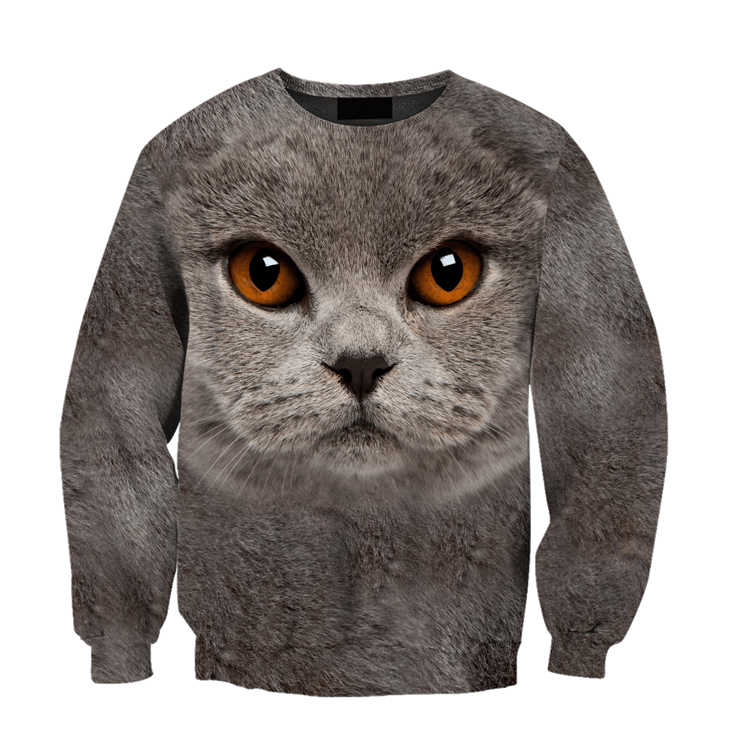 British Shorthair Cat face hair premium hoodie sweatshirt cover