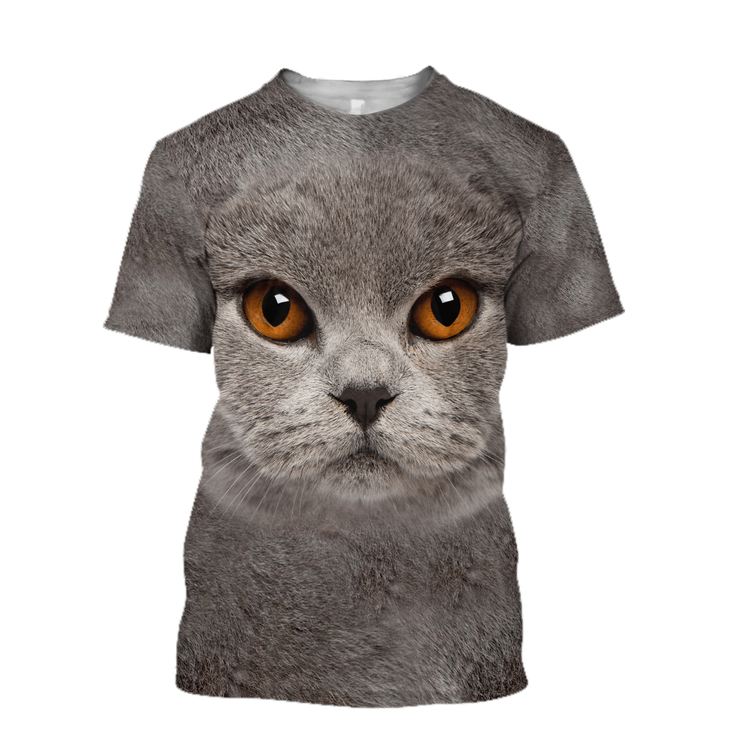 British Shorthair Cat face hair premium hoodie sweatshirt cover